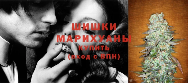 первитин Богданович