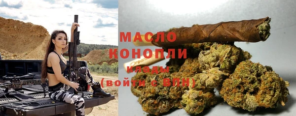 2c-b Богородицк