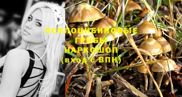 первитин Богданович