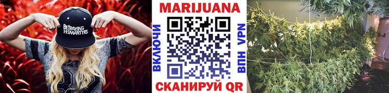 Бошки марихуана сатива  Раменское 